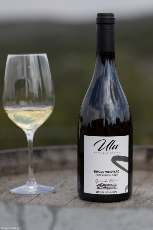 SINGLE VINEYARD 2024
