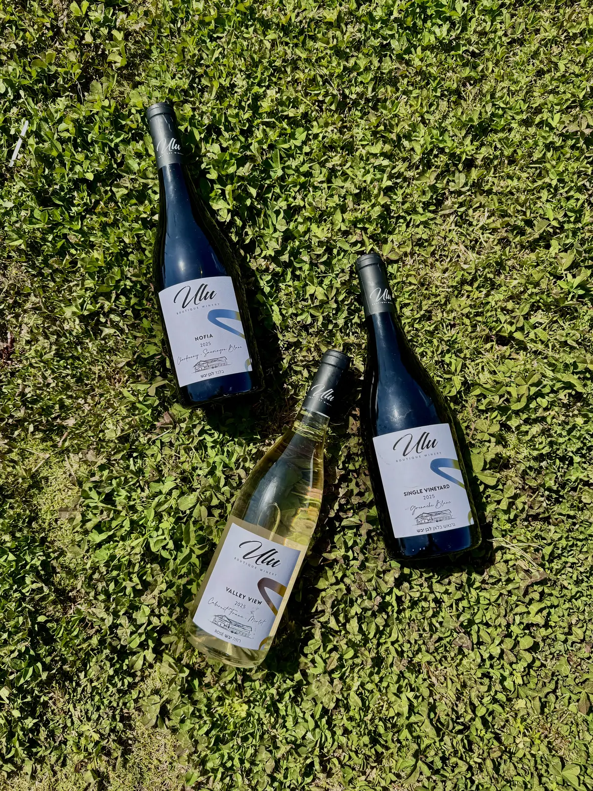 ערב חג אולו