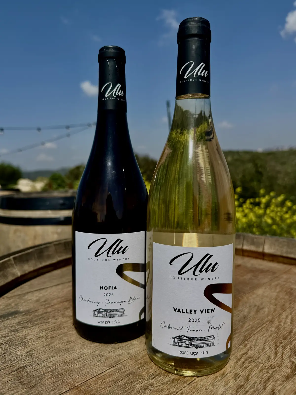 מארז יינות כשרים "אולו אביבי"